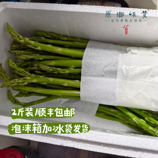 【预售，预计4.6日开始发货】露天生态芦笋（基地直发-顺丰包邮）|1kg/件，来自山东菏泽，生产者：孙喜梅【合作生产，公平贸易】 商品图4