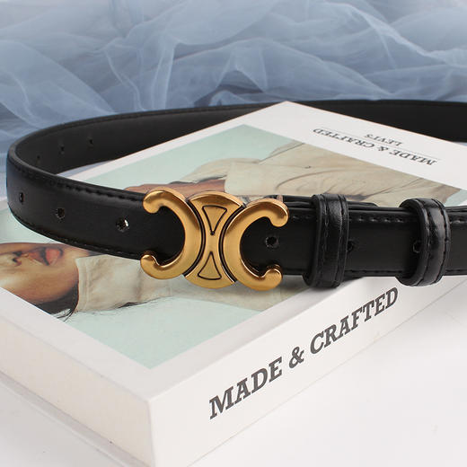 雀说腰带女士时尚百搭皮带百褶裙装饰高级感女韩版新款牛仔裤带AL 商品图1