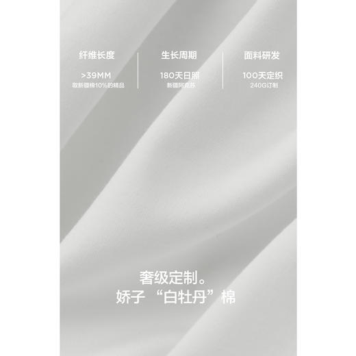 棉仓363801008-重磅液氨白牡丹宽松落肩短袖T 商品图3