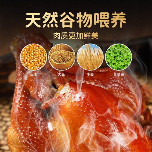【上门自提】新联|果木熏烤童子鸡|800克 商品图1