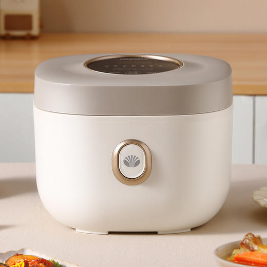 大宇电饭煲 DYFB-424F 升级版(彩邮) 商品图5