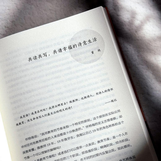 教师成长的奥妙 榜样教师这样做 大夏书系 教师专业发展 商品图8