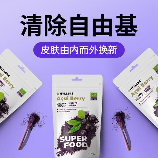 Hyllers纯冻干acai巴西莓粉花青素内服抗自由基氧化+甜菜根粉女性天然浓缩气血营养品铁剂食品红润美丽容颜 商品图1