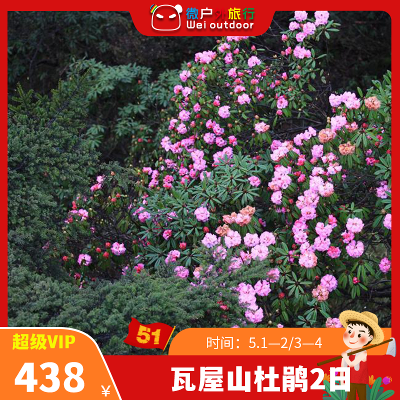 【五一丨瓦屋山2日游】（5.1-2/3-4）赏杜鹃、观云海、觅佛光、走进南国的杜鹃花海