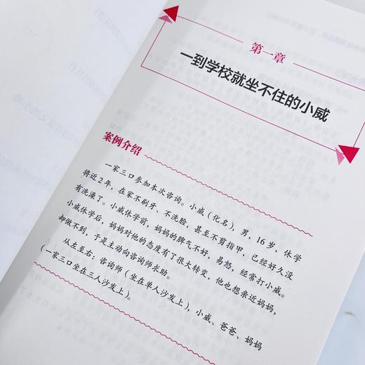 我的孩子为什么不想上学：青少年厌学的真相 真实咨询案例 了解孩子厌学 真相 摆脱厌学状态 商品图10