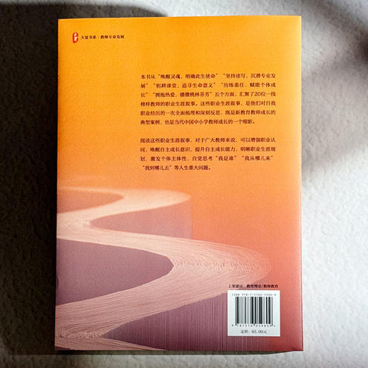 教师成长的奥妙 榜样教师这样做 大夏书系 教师专业发展 商品图2