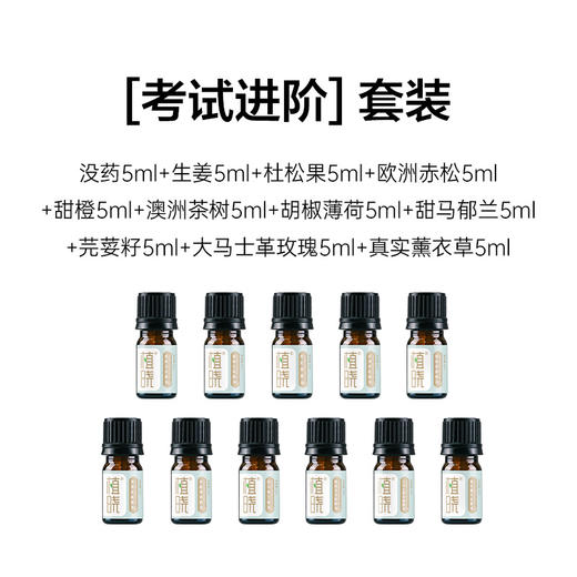 IFA考试进阶 商品图1