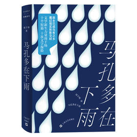 马孔多在下雨 有趣书系(2022年宝珀理想国文学奖决名单作品) 小说 周于旸 著