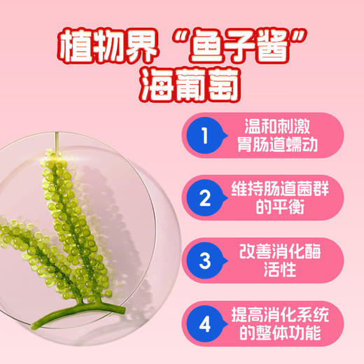 【保税仓】EZZ儿童益生菌强生养胃片14袋/盒 商品图1