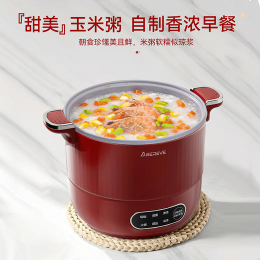 艾贝丽液体加热器（多用锅）ABL-WY1249 商品图3