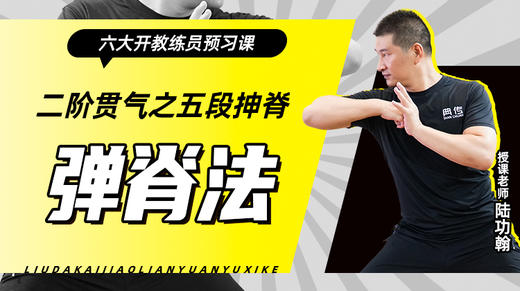 二阶贯气之【五段抻脊——弹脊法】六大开教练员预习课 商品图0
