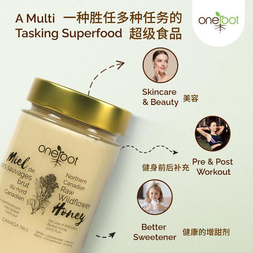 【含邮含税】加拿大Oneroot天然野生百花蜂蜜 500g/瓶 商品图3