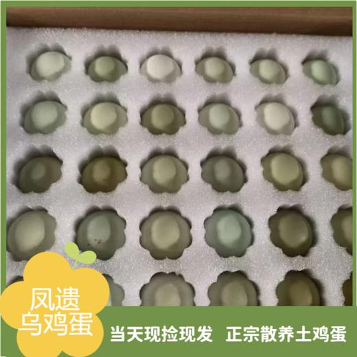 凤遗乌鸡蛋30-40枚/箱   新鲜鸡蛋当日现发   丰富蛋白质  味道鲜美  无添加无抗生素 商品图2