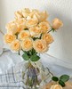新鲜鲜花 香槟玫瑰鲜切花  10支（可备注送货时间） 商品缩略图2