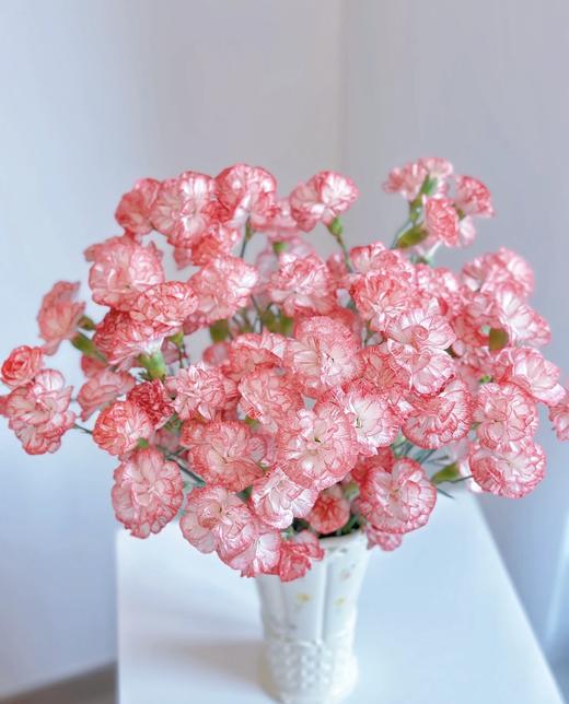 新鲜鲜花 多头康乃馨·风铃 鲜切花 10支（可备注送货时间） 商品图1