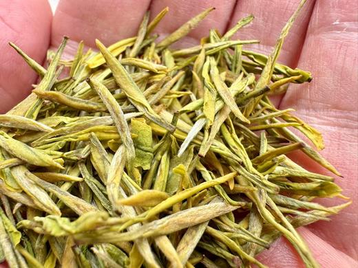 2025春 很仙很特别  黄金芽  里黄杜  别人没有的特殊嫁接方式  50克 商品图1