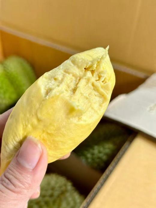 泰国进口甲仑榴莲  A级果 香甜软糯 榴莲味浓郁 口感超赞 比金枕还臭 周期短 错过等一年（下单先在详情页查看购买须知） 商品图2