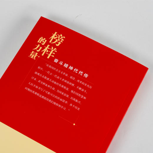 榜样的力量:奋斗精神代代传 《环球人物》杂志社主编 精选20位时代楷模 张富清 袁隆平 屠呦呦 砥砺奋斗幸福人生 商品图4