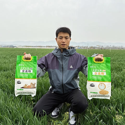【富硒全麦粉】保留胚芽、麦芯，健康营养，不添加滑石粉、增白剂、改良剂，自产自销，现磨现发！【高筋】 商品图2