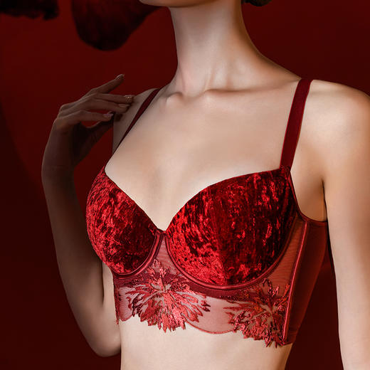 CB | 花香︱妃红·丝绒棉杯中文胸 商品图0