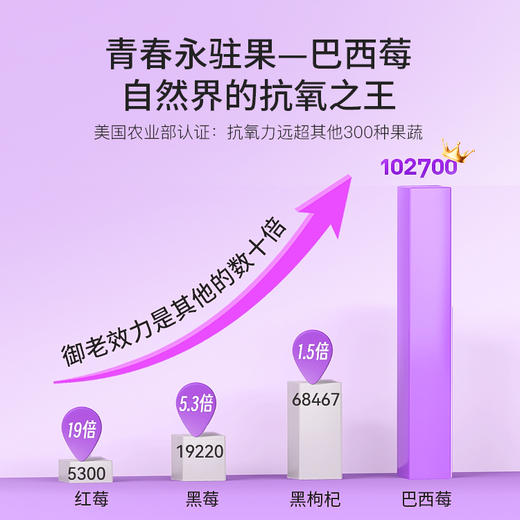 Hyllers纯冻干acai巴西莓粉花青素内服抗自由基氧化+甜菜根粉女性天然浓缩气血营养品铁剂食品红润美丽容颜 商品图3