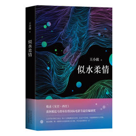 王小波：似水柔情 收录《东宫·西宫》