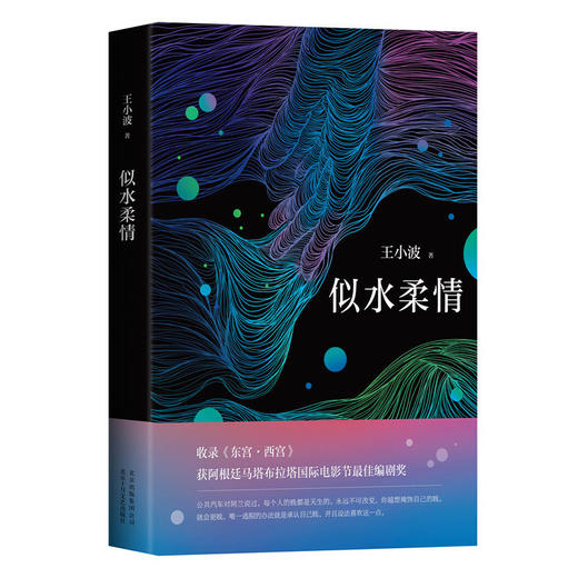 王小波：似水柔情 收录《东宫·西宫》 商品图0