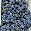【酸甜可口】蓝莓葡萄 约500g/份 商品缩略图1