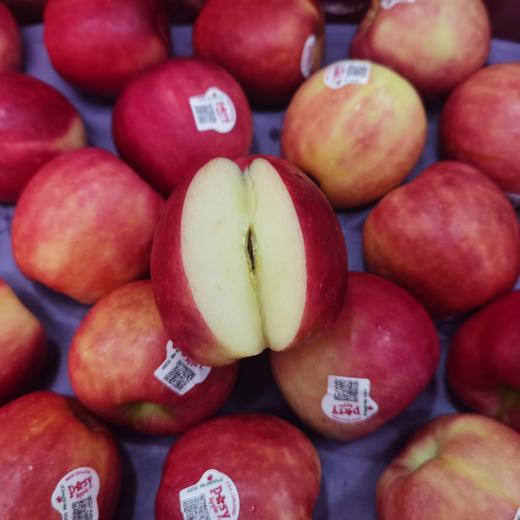 【进口】新西兰进口POSY小花苹果 脆甜多汁 商品图1