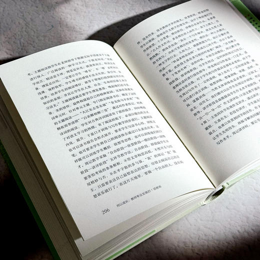 何以成长 教师专业发展的7项修炼 大夏书系 吴春来 学习型教师 商品图10