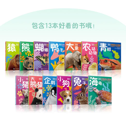 DK动物成长奥秘：看！我在长大 中英双语版  *子共读书籍 儿童绘本 少儿动物科普书 动物百科全书 商品图2