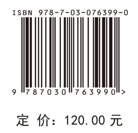 江海直达船舶砰击颤振及波激振动响应 商品图4