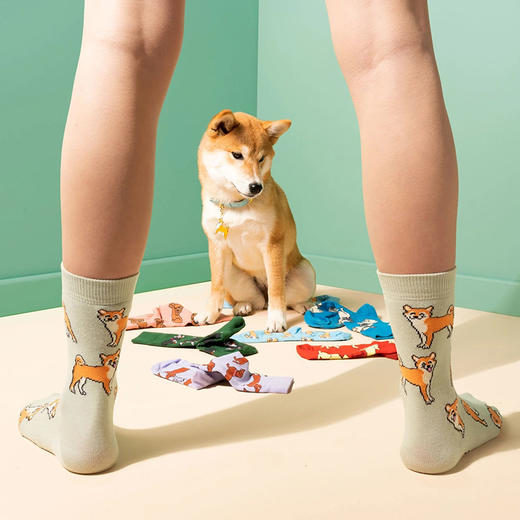 北京仓｜Coucou Suzette-Shiba-柴犬 中筒袜［法国设计师］ 商品图1