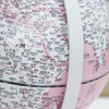FunGlobe  朋宸地球仪  AR 金属底座触控夜灯地球仪  M3公主粉 商品缩略图4