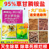 95%草甘膦铵盐柑橘果园除水花生马齿苋小飞蓬专用除草剂正品农用 商品缩略图1