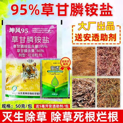 95%草甘膦铵盐柑橘果园除水花生马齿苋小飞蓬专用除草剂正品农用 商品图1