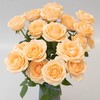 新鲜鲜花 香槟玫瑰鲜切花  10支（可备注送货时间） 商品缩略图1
