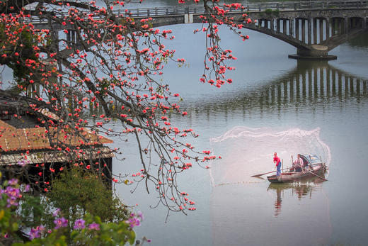 免费公益课程！4.22【花影拾光】拍花技巧揭秘，仅限30位 商品图6