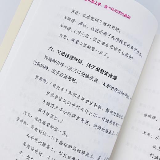 我的孩子为什么不想上学：青少年厌学的真相 真实咨询案例 了解孩子厌学 真相 摆脱厌学状态 商品图9
