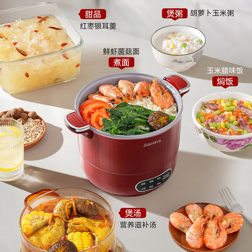 艾贝丽液体加热器（多用锅）ABL-WY1249 商品图2