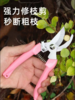 园林花艺整枝剪（颜色随机） 商品缩略图0