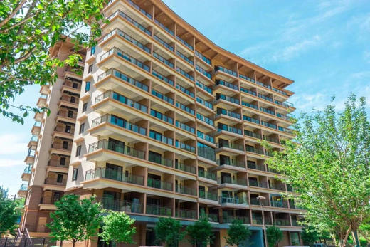 【雅安龙苍沟· 桌山黑石度假公寓】
🌿徒步吸氧，玩转绿野秘境
🌸毗邻大熊猫国家公园 春日花海如绯云 四季桌山美景 商品图4