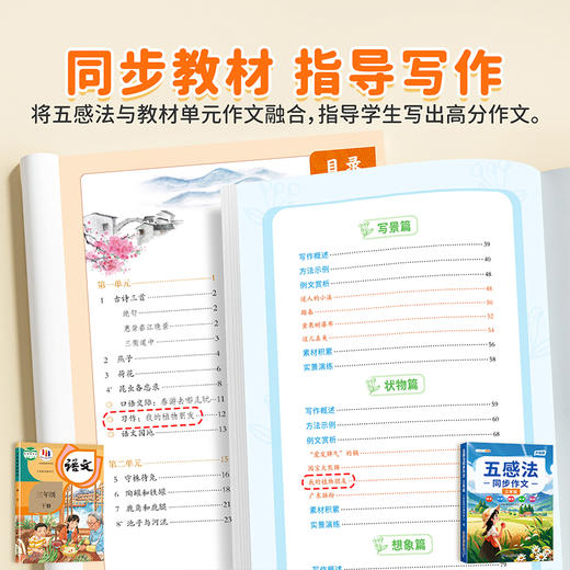 【斗半匠】五感法同步作文 商品图6