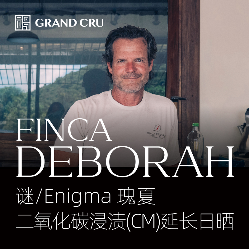 25新产季 | 黛博拉 | Enigma 谜批次 | 二氧化碳浸渍(CM)延长日晒 瑰夏
