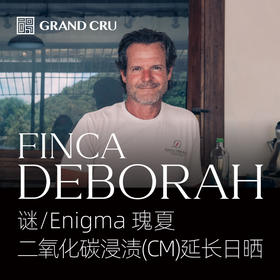 25新产季 | 黛博拉 | Enigma 谜批次 | 二氧化碳浸渍(CM)延长日晒 瑰夏