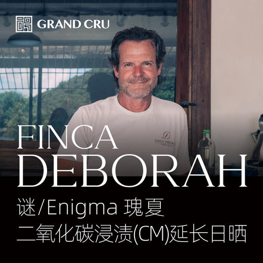 25新产季 | 黛博拉 | Enigma 谜批次 | 二氧化碳浸渍(CM)延长日晒 瑰夏 商品图0