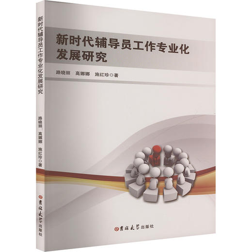 新时代辅导员工作专业化发展研究 商品图0