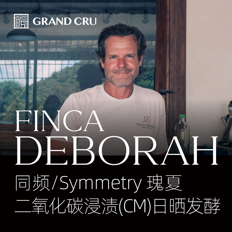 2025新产季 | 黛博拉 | Symmetry 同频批次 | 二氧化碳浸渍(CM)日晒发酵 瑰夏