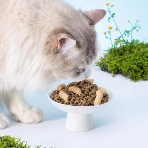 吉芙猫干粮冻干粮1.5kg 商品图1