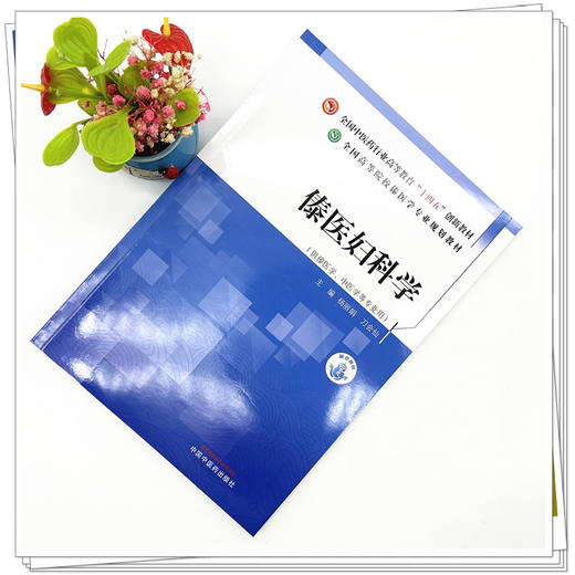 傣医妇科学 杨丽娟 刀会仙 主编 中国中医药出版社 全国中医药行业高等教育十四五创新教材 全国高等院校傣医学专业规划教材 商品图1